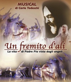 Un Fremito d'Ali